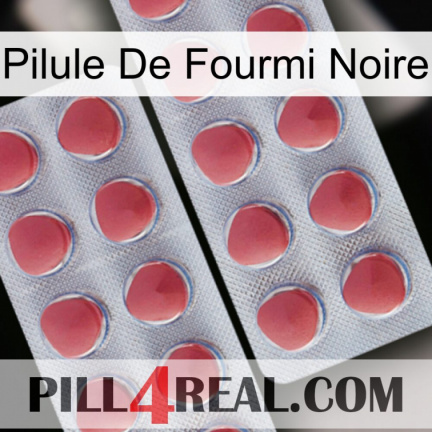 Black Ant Pill 19